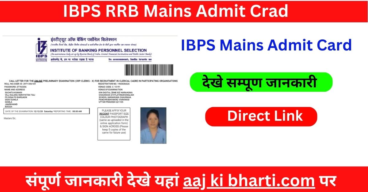 IBPS Office Assistant Multipurpose Clerck Mains Admit Card 2024 Link